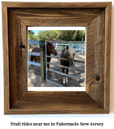 trail rides near me in Tabernacle, New Jersey